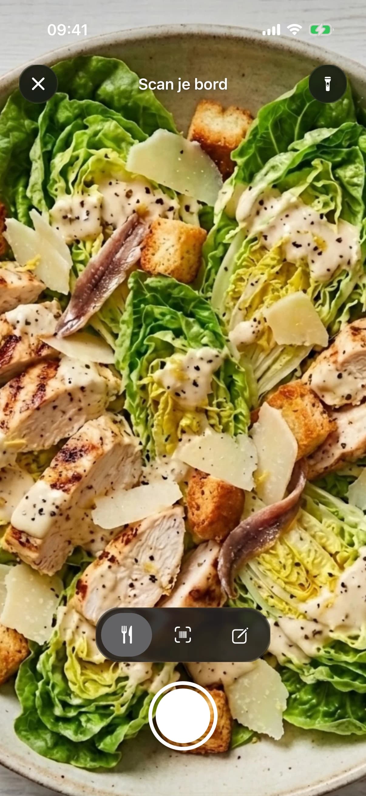 De fotoscanner met een caesarsalade met gegrilde kip in beeld
