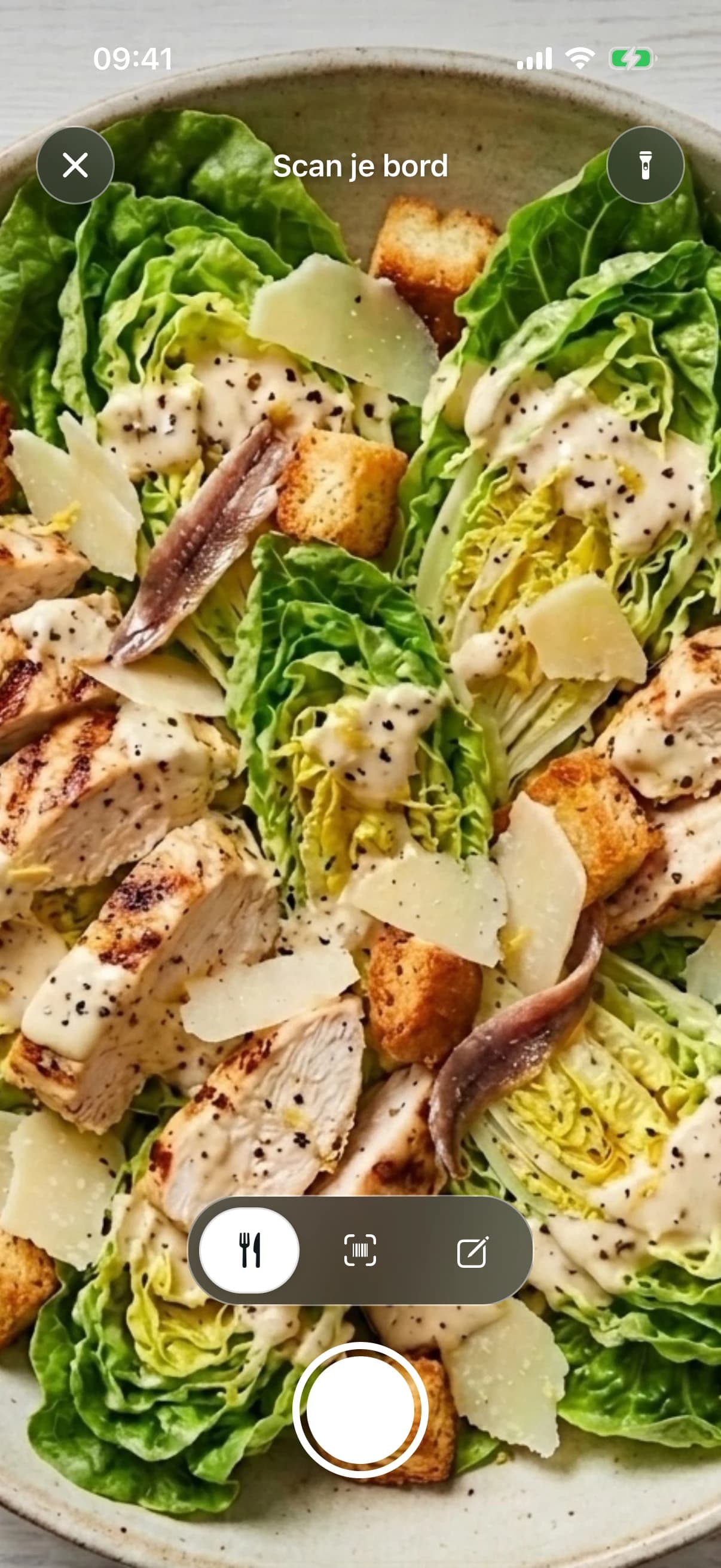 De fotoscanner met een caesarsalade met gegrilde kip in beeld