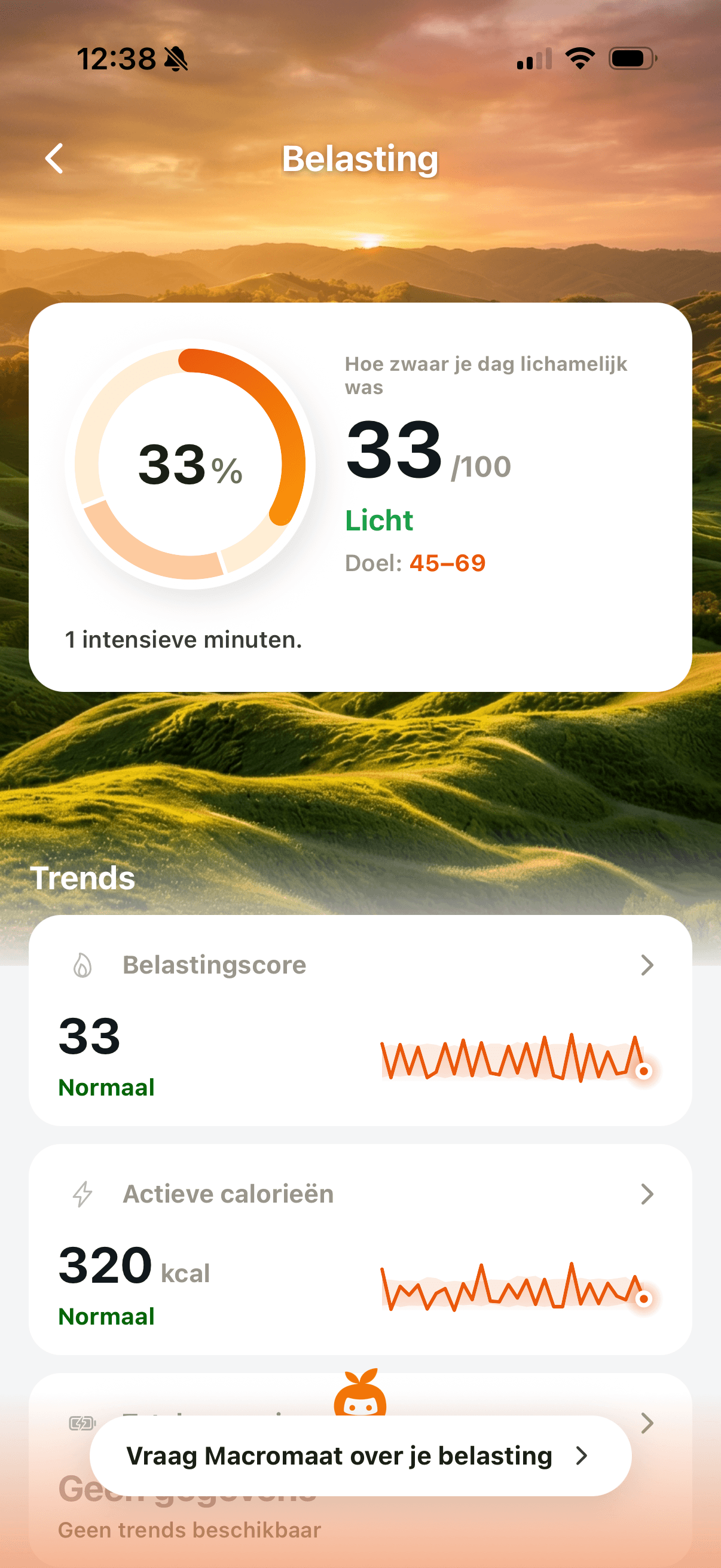 Belastingoverzicht met dagelijkse inspanning en actieve calorieën